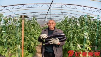 艾伦·帕克走了 余音绕梁