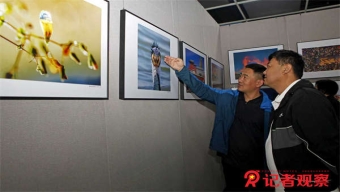 197件美术作品描绘美丽的“一带一路”