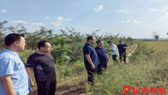 《清平乐》贾玉兰悲惨下线 曹曦文演技获好评