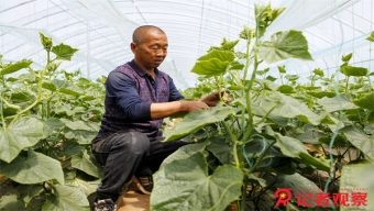 国科大：初步查明系2019级硕士生季某某发表不当言论