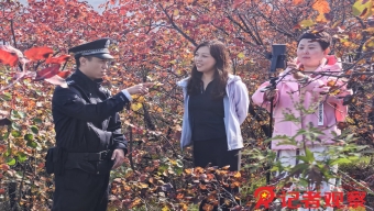 桑切斯自由转会加盟国米 双方签约至2023年