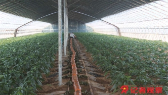工信部:加强车辆检验检测管理 保证结果客观公正准确
