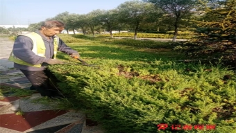 朔州煤监站党总支组织学习《求是》杂志发表习近平总书记重要文章