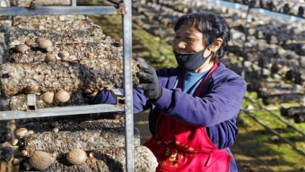 当代中国影视创作：将镜头对准广袤的乡村