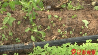 中超新赛季蓄势待发