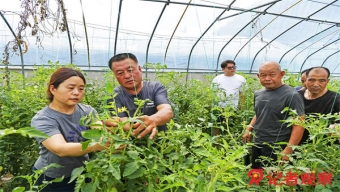 平顺交警查处一起无证驾驶三轮车载着工人去上工违法行为