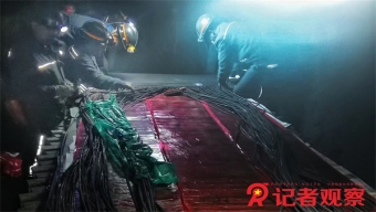 “危”中寻“机”：云南文旅产业逐渐复苏