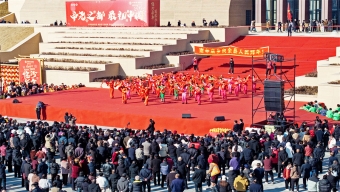 世界海洋日：立法保护红树林 修复典型海洋生态系统