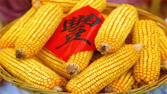 长治消防救援支队王强做客直播间与听众互动交流