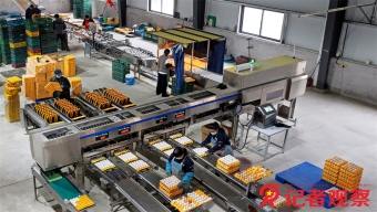 游山西，读历史，看海报！10条主题旅游线路任你挑