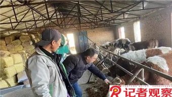 机动车排污违法信息拟纳入征信