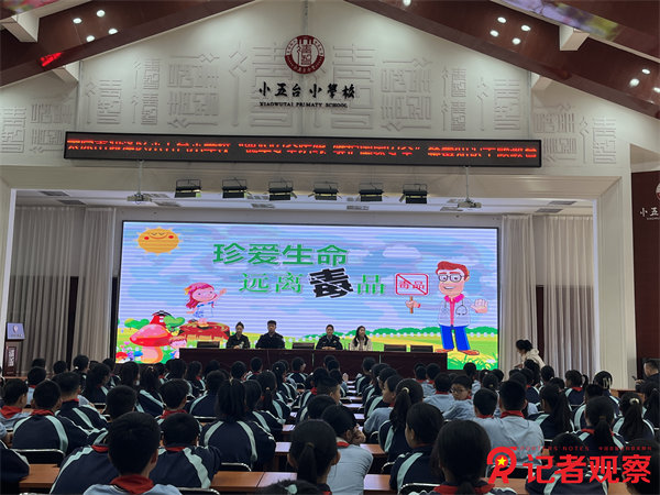 图片8