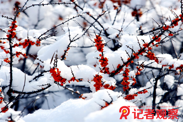 微信图片_20240519094216 微信图片_20240519094216