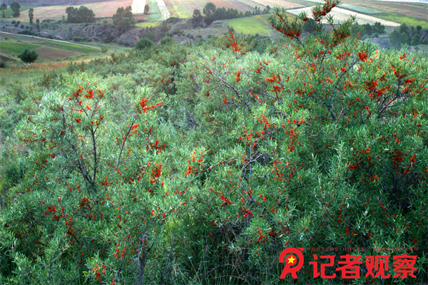 微信图片_20240519094220 微信图片_20240519094220