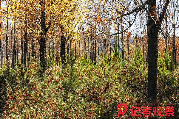 微信图片_20240519094231 微信图片_20240519094231