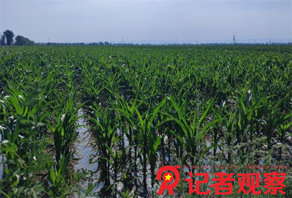 微信图片_20240619074130