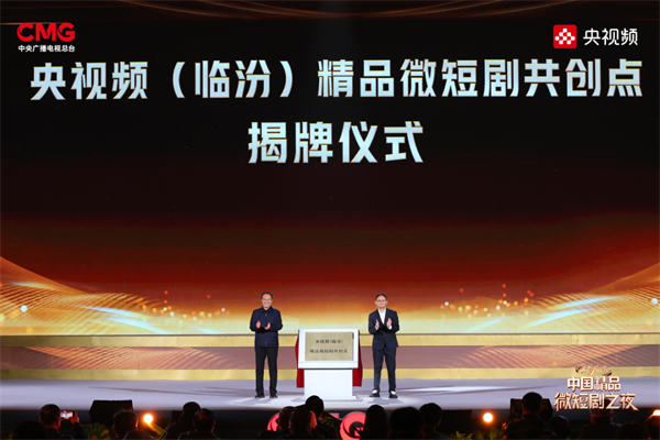 图片11