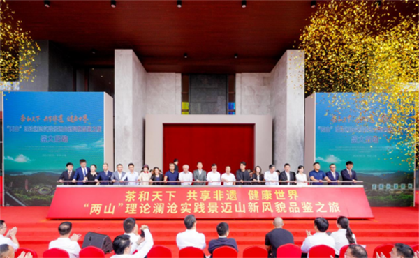 图片11