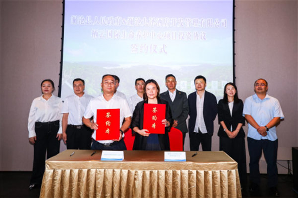 图片13