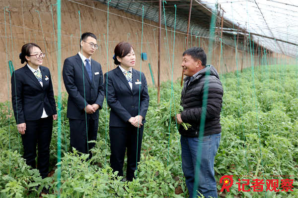 壶关农商银行党委副书记、行长李艳红走访种植户