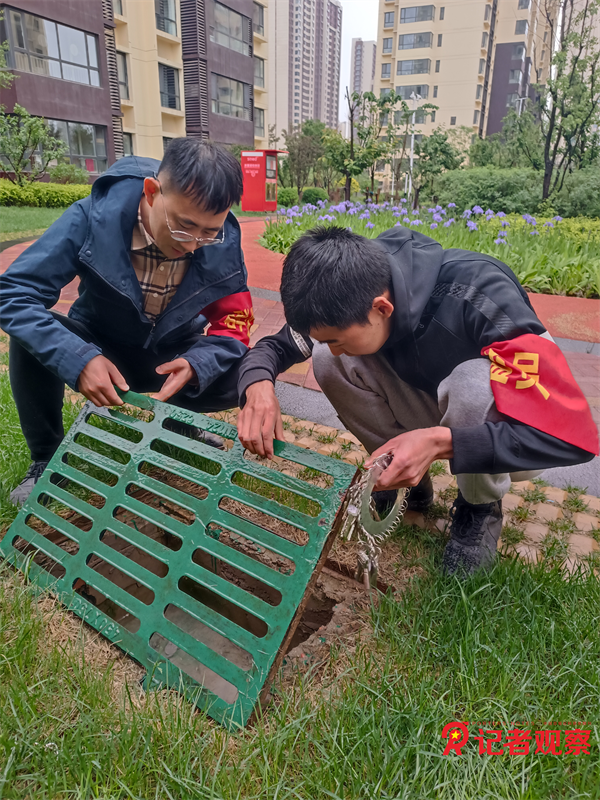 图片21