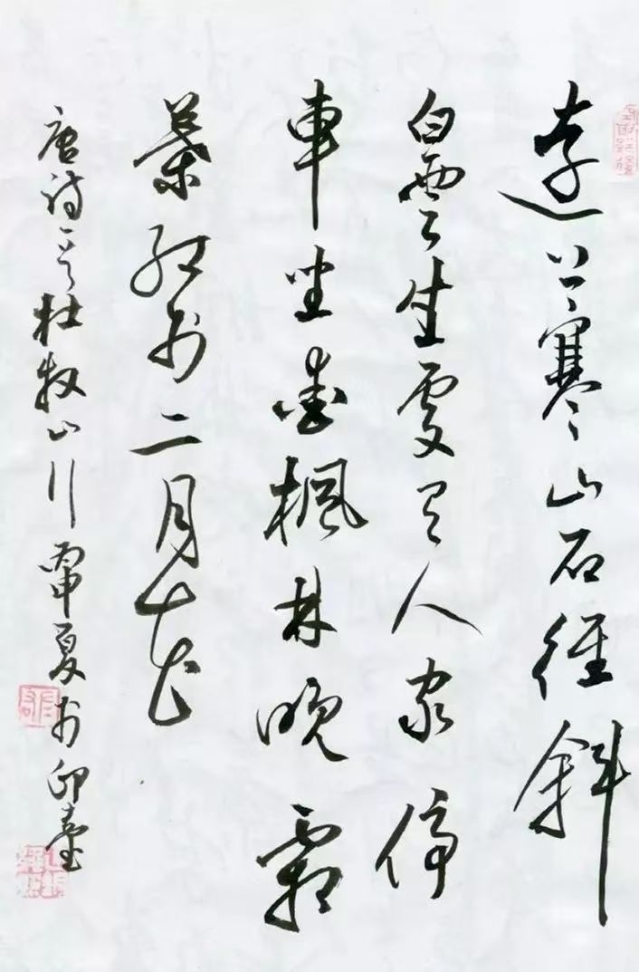 图片4