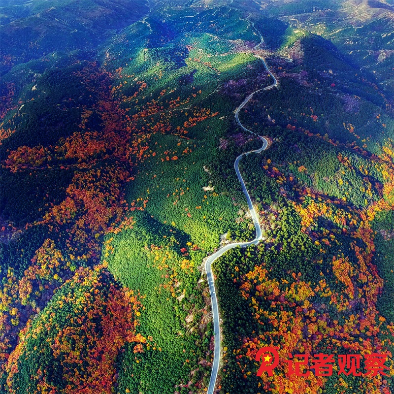 蒲县五鹿山秋景
