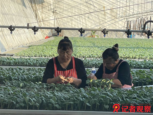 微信图片_20241211142822