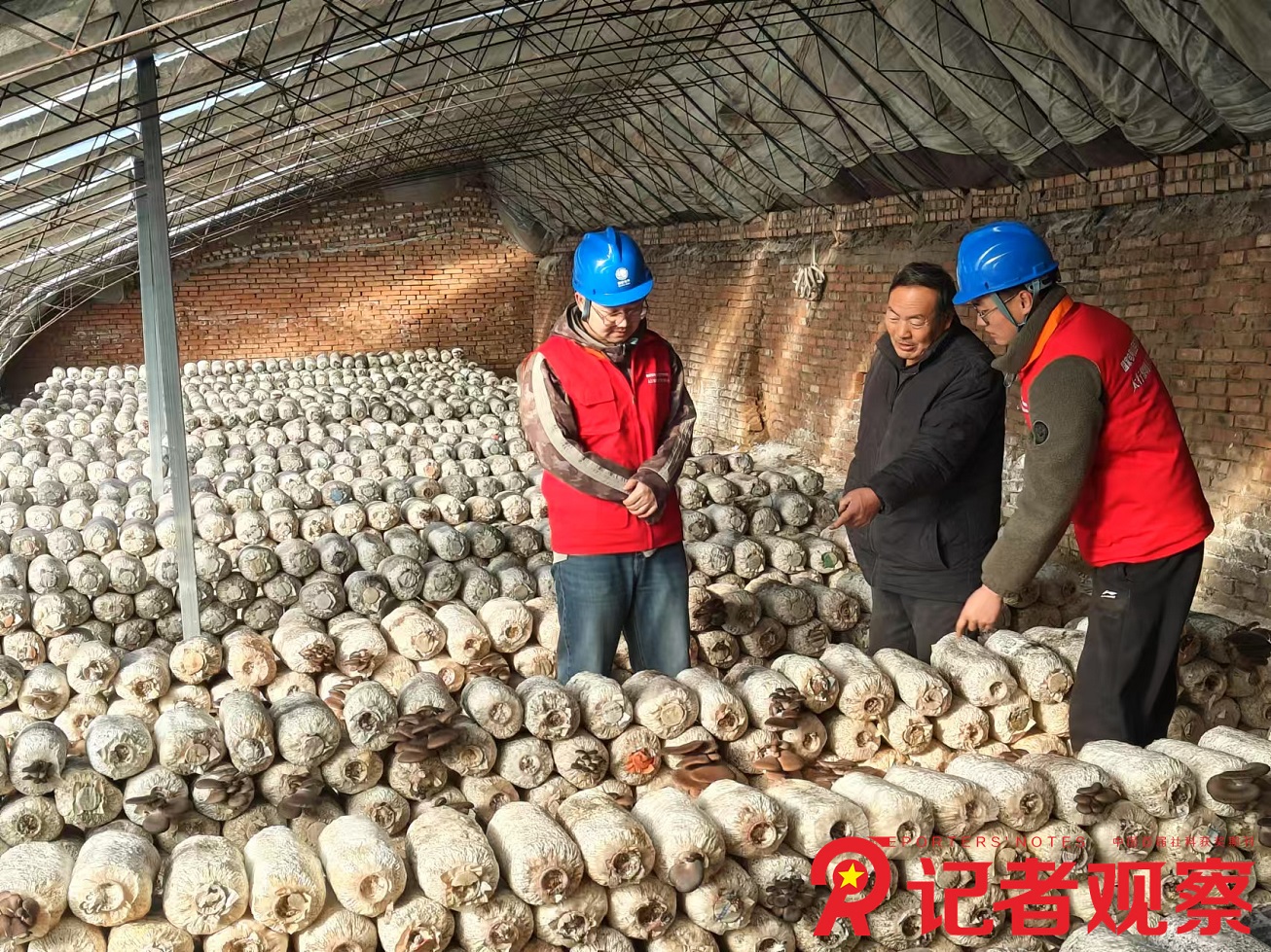 微信图片_20241220210758