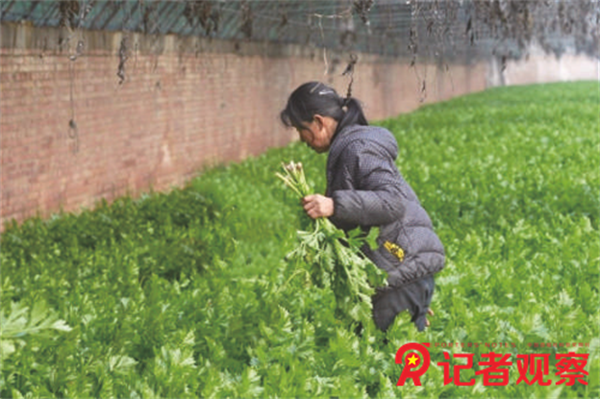 微信图片_20250109092232