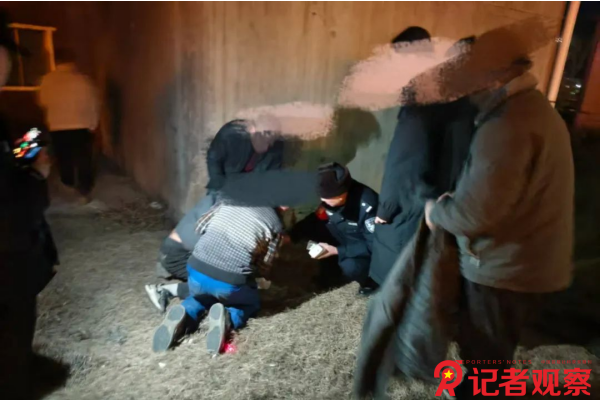 图片1