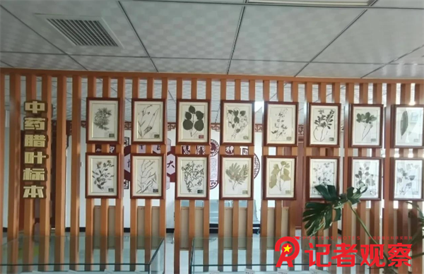 微信图片_20250121104906