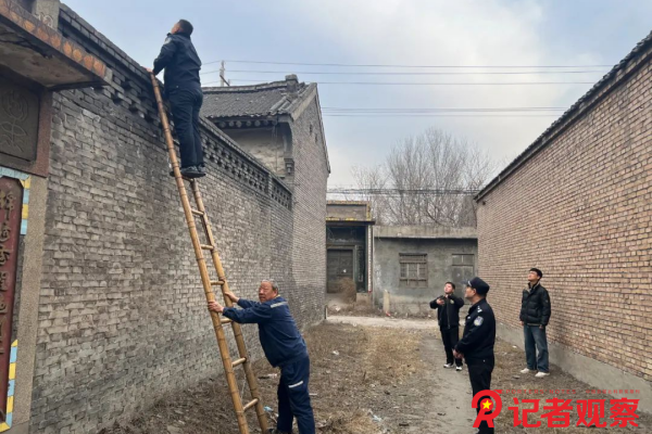 图片2