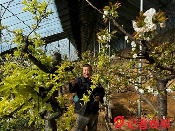 微信图片_20250208092557