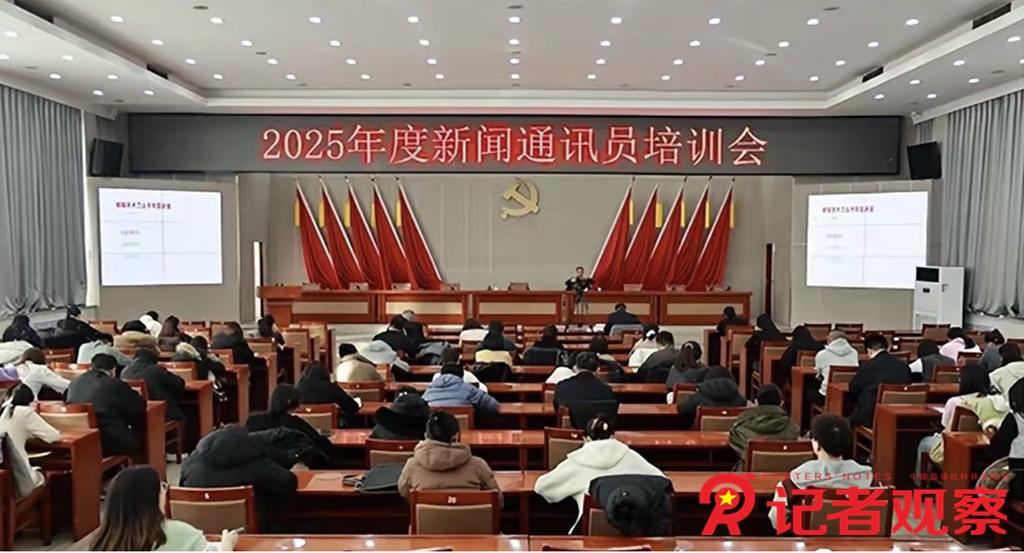 未命名11