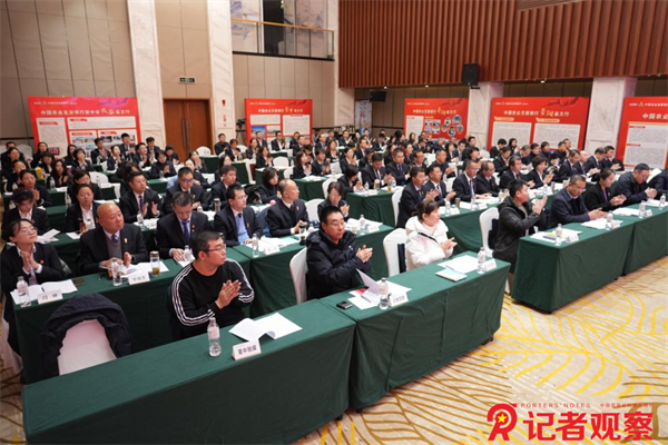 图片9