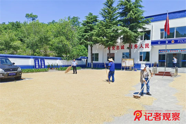 图片4