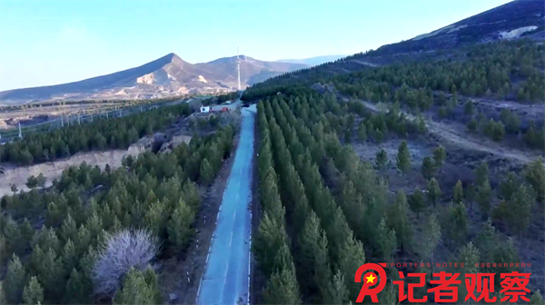 微信图片_20250306082339