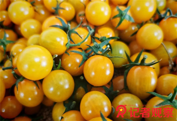 微信图片_20250319090003