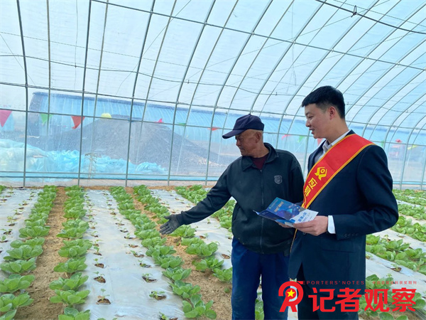 微信图片_20250410082546