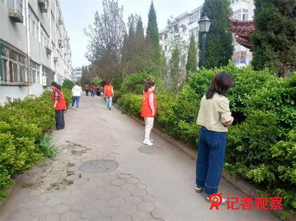 图片25