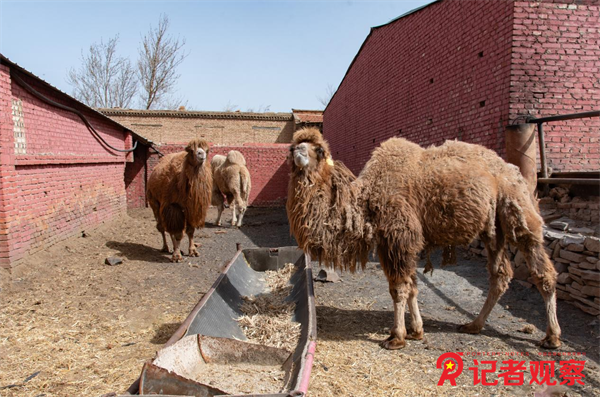 图片28