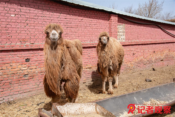 图片29