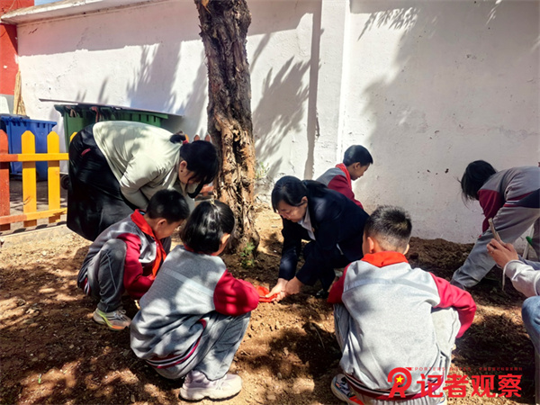 图片22