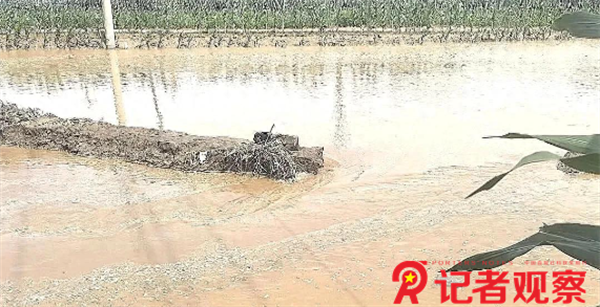 微信图片_20250717135838 微信图片_20250717135838