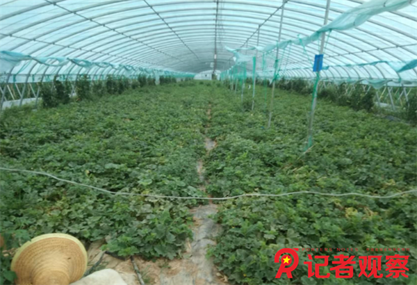 微信图片_20250801072114 微信图片_20250801072114