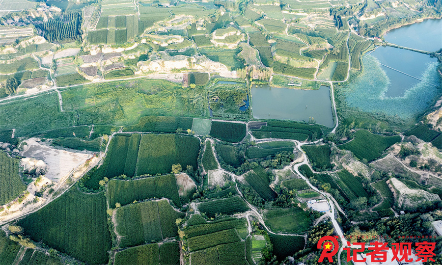 微信图片_20250819212711