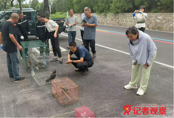 图片7