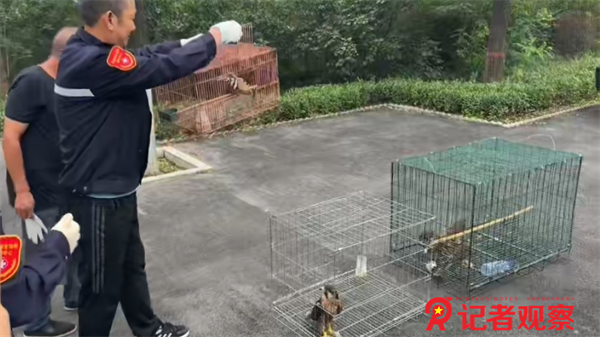 图片8