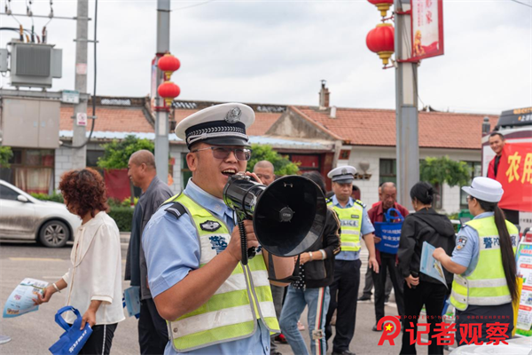 图片12